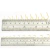 100pcs/Box Fishhook Catfish/Circle/Treble/Fish/Fishing Hook 10 Mixed Sizes 3#-12# - Image 3
